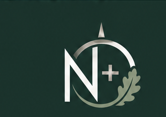 North & Oak icon mark